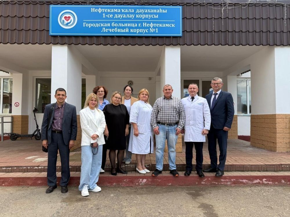 Организационно-методическая помощь по лечению пациентов с ЛОР-патологией